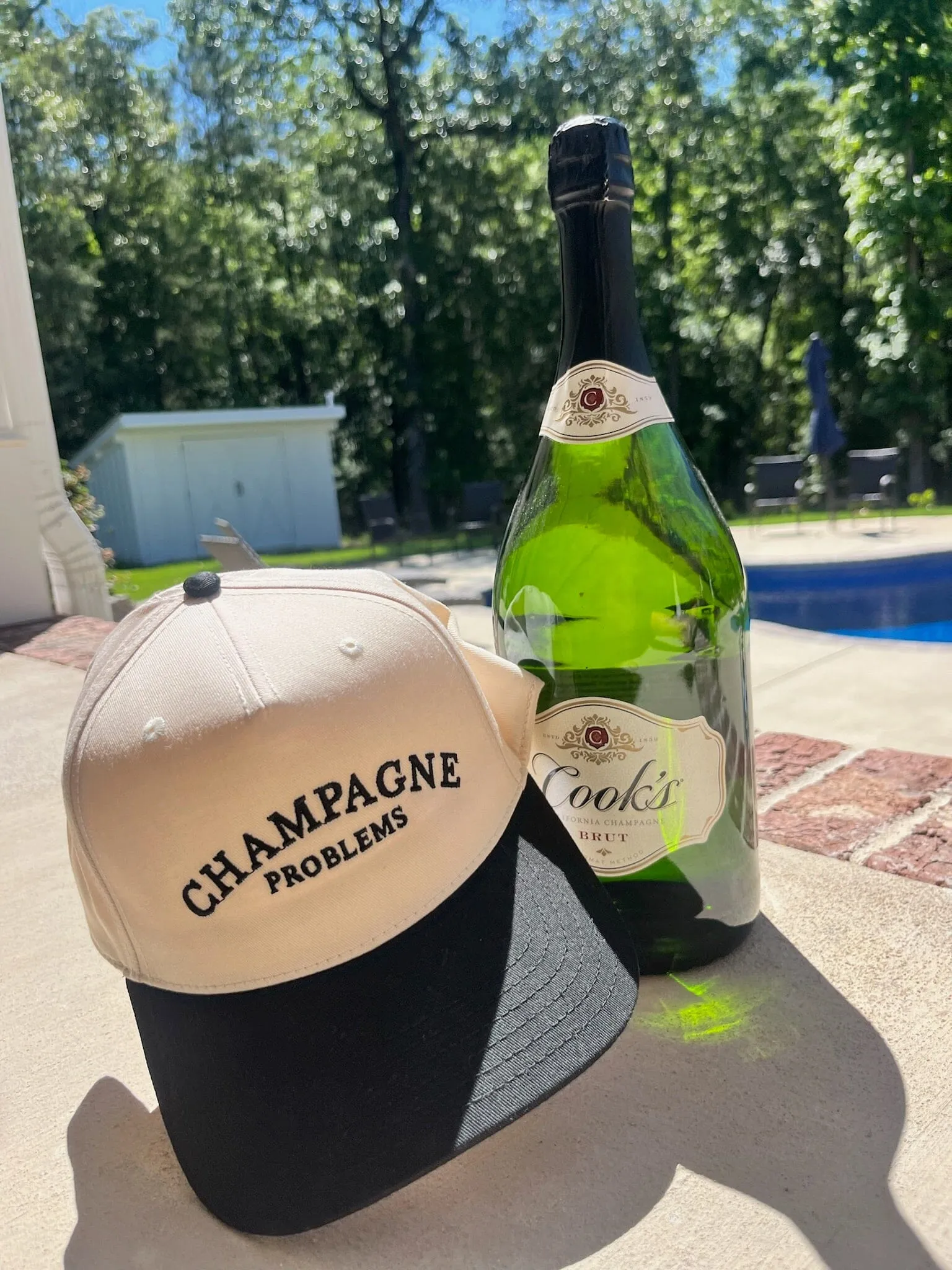 Champagne Problems Trucker Hat