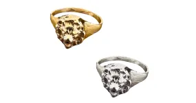 Erik Maes, Little Lion Rings